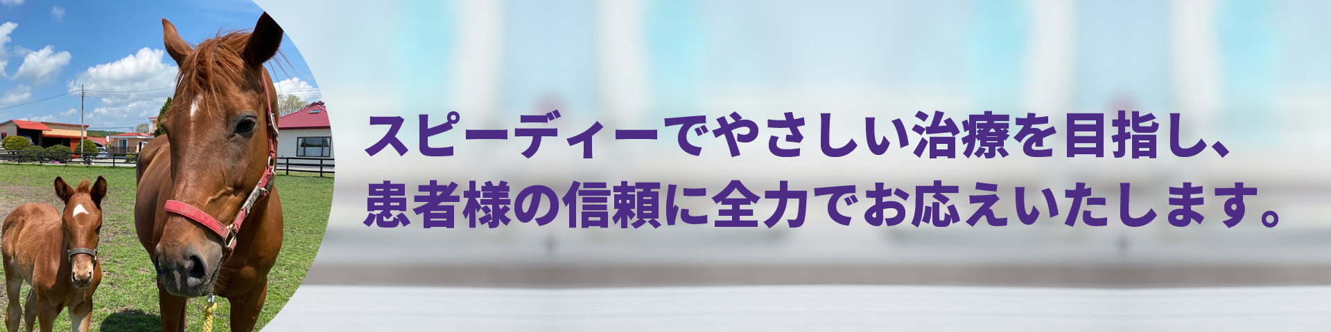 メイプル歯科診療所／医療法人社団 英会／東京都目黒区／東急東横線「都立